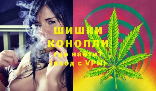 ешки Новодвинск