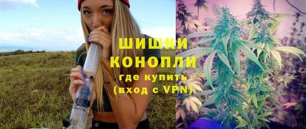 трава Новокубанск