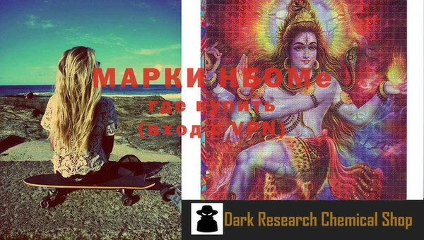 ешки Новодвинск