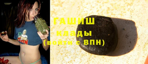 ешки Новодвинск
