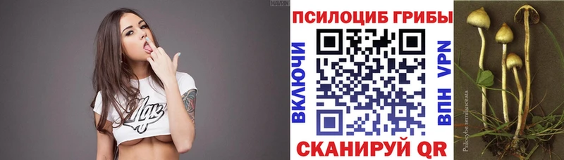 Галлюциногенные грибы Psilocybine cubensis  Мурино 
