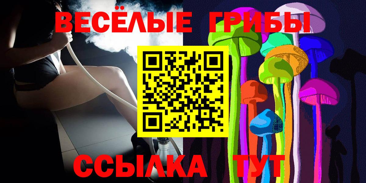 цены наркотик  Мурино  Псилоцибиновые грибы мицелий 