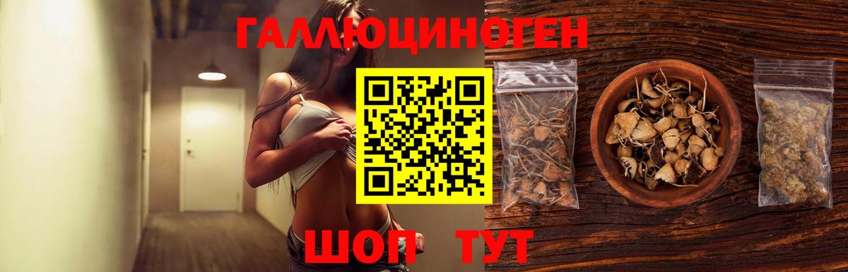 Мурино  Галлюциногенные грибы MAGIC MUSHROOMS  Вход с VPN 