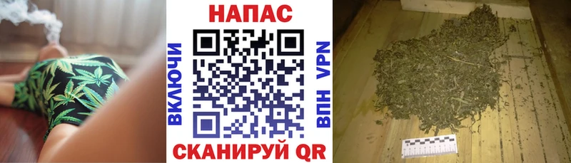 где продают наркотики  мега ССЫЛКА  Шишки марихуана индика  Мурино 